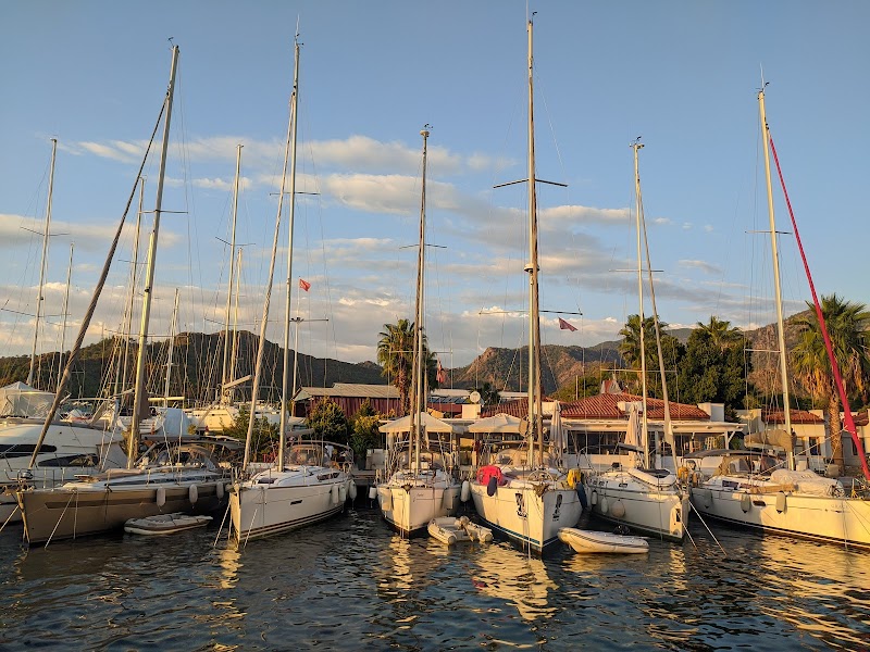 Albatros Marina