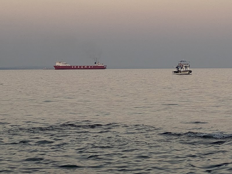 Altınova Sahili