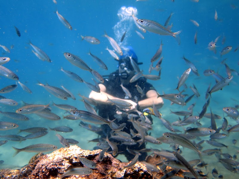 Antalya Dalış Scuba Diving
