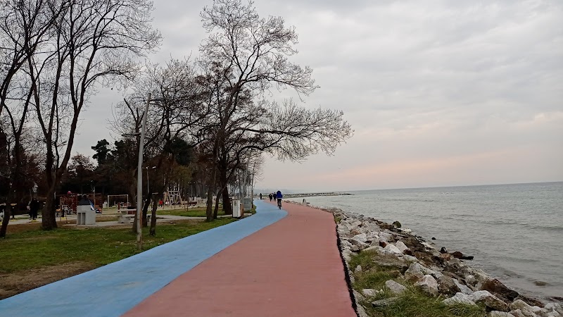 Araştırma Sahili Plajı