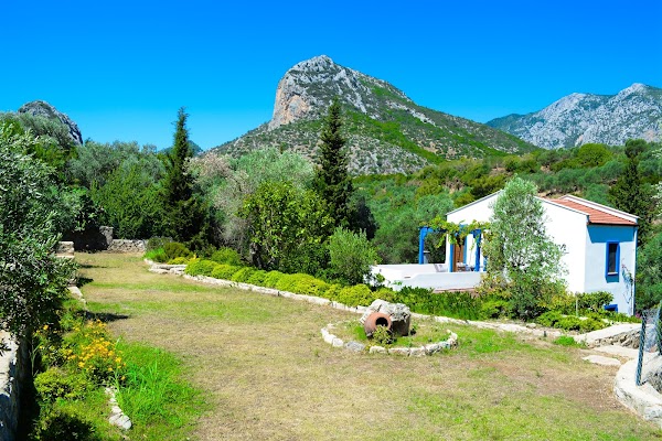 ArtOlive Otel - Datca
