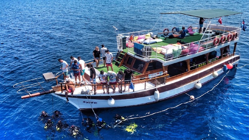 Ayvalık 3 sea dalış merkezi