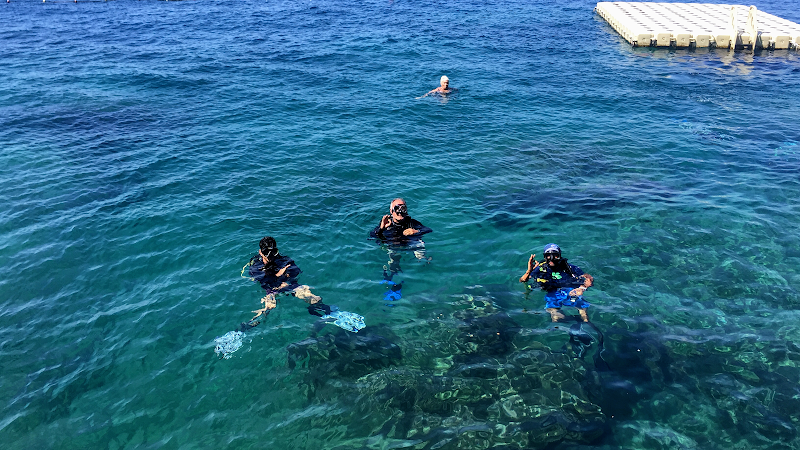 BİLYAZ Diving Center
