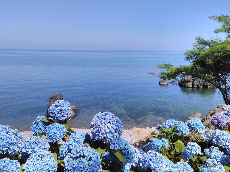 Bodimeli Beach and Tea Garden