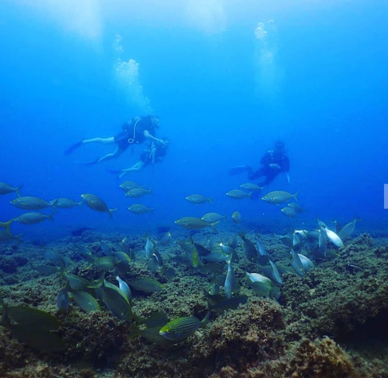 Didim Milet Diving Center