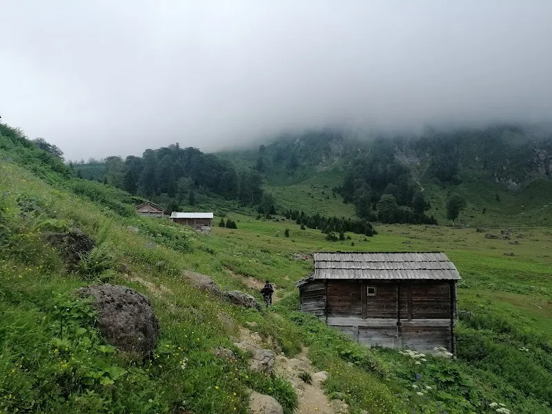 Artvin'in Saklı Su Cennetleri: Temmuz 2026 Kapsamlı Gezi Rehberi
