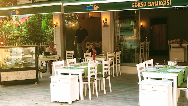 Gürsu Balıkçısı