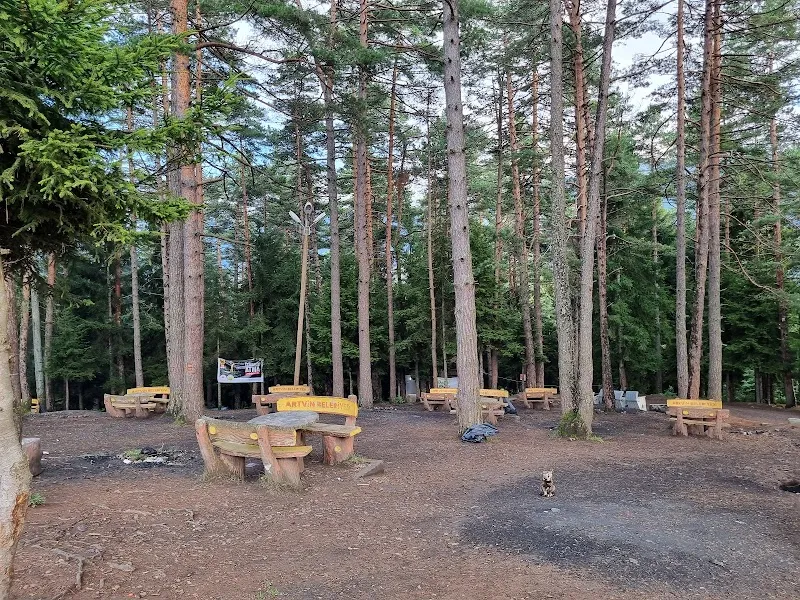 Artvin Kafkasör Mevkii'nde yemyeşil doğa ve dinlenme alanı