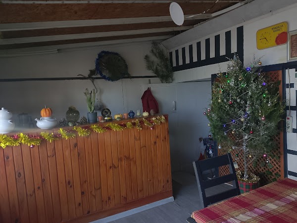 Kaktüs Kafe