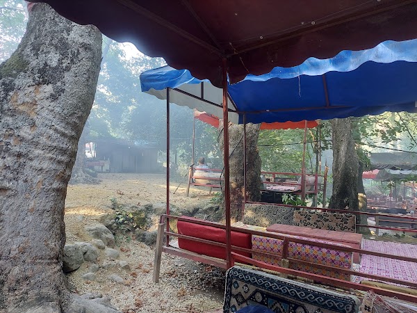Kayacı Erol Piknik