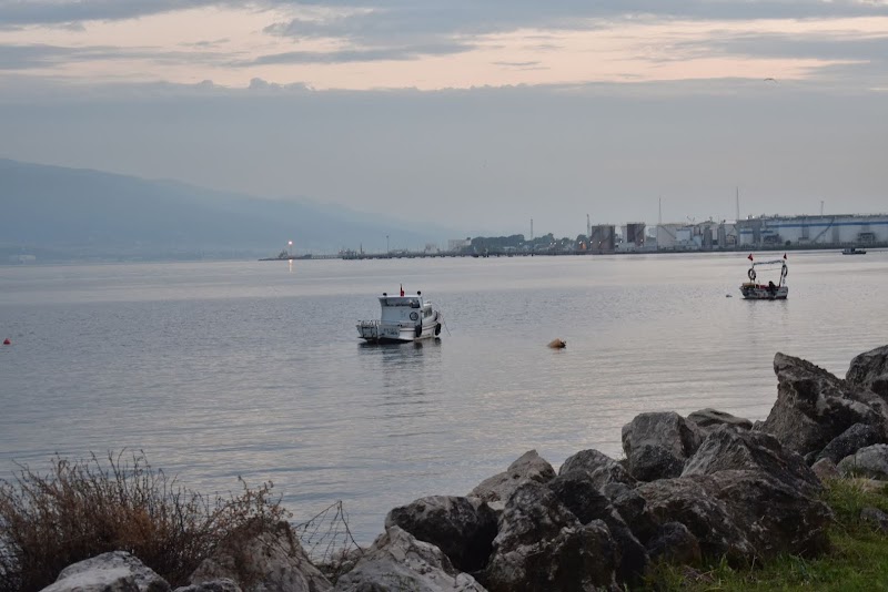 Kocaeli Büyükşehir Belediyesi Plaj Yolu Sahili