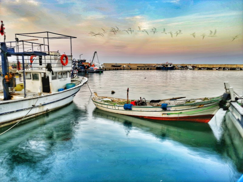 Kumbağ Limanı
