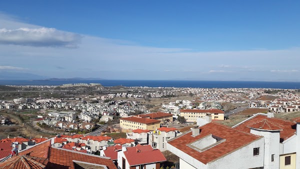 Madeira Gardens