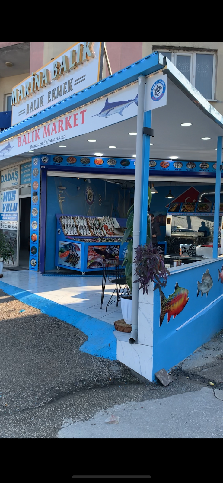 MARİNA BALIKÇILIK