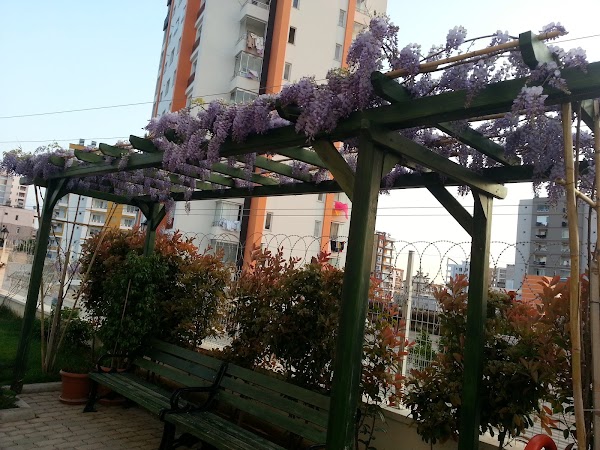 Miraylar Plaza