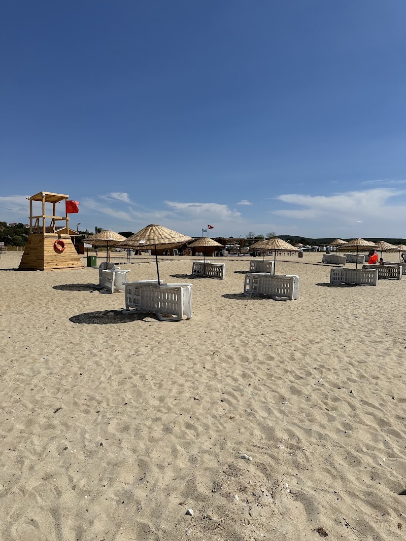 Mischa Beach