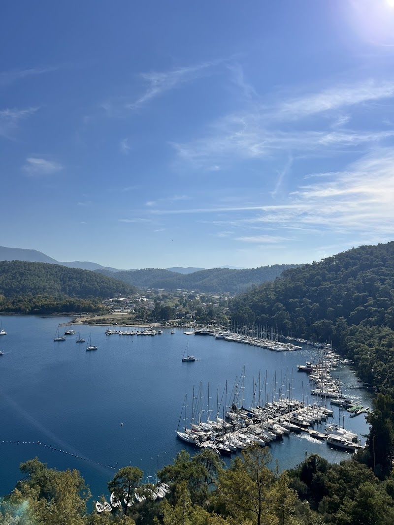 Muçev Marina Karacasöğüt