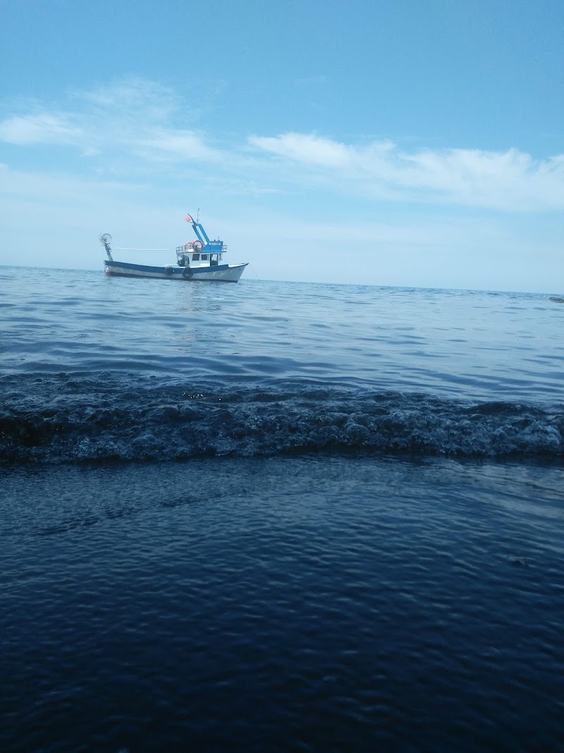 Ordu Kadınlar Plajı