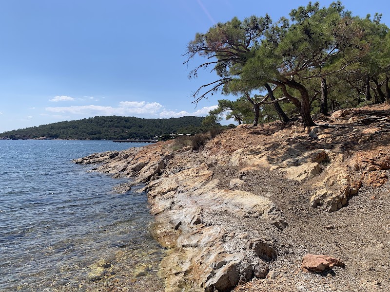 Balıkesir Ortunç Koyu doğal plaj ve deniz manzarası