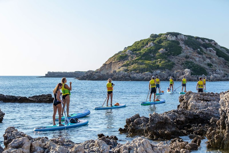 Paddle Paradise
