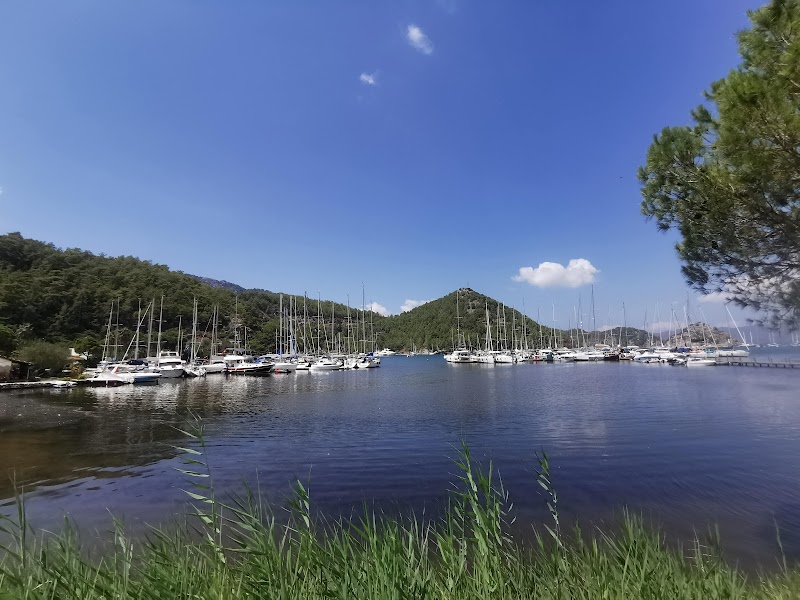 Palmiye Marina