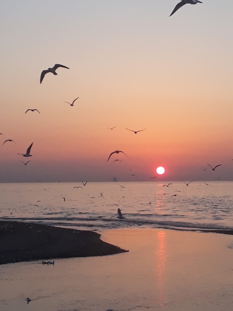 Plaj - Beach - Strand