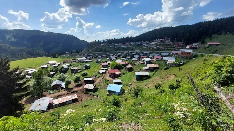 Sahara Yaylası, Artvin'in geniş çayırları ve serin suları