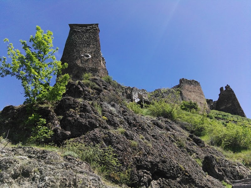 Şavşat Kale