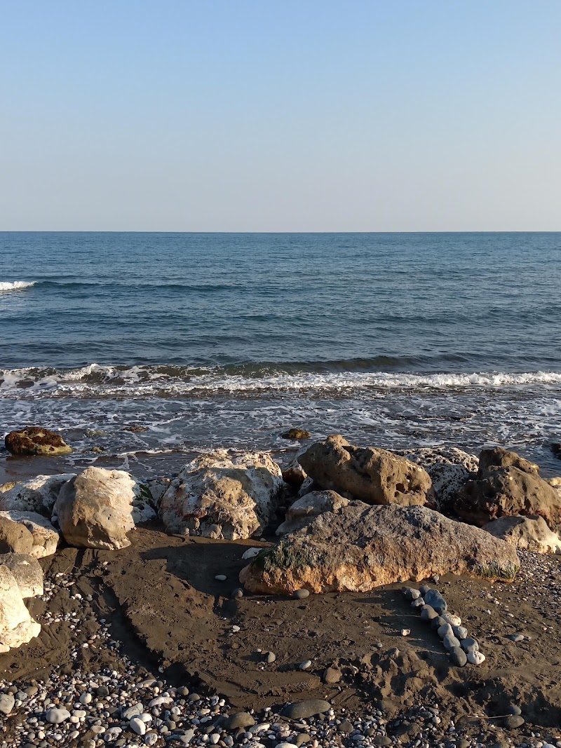 Tece Halk Plajı