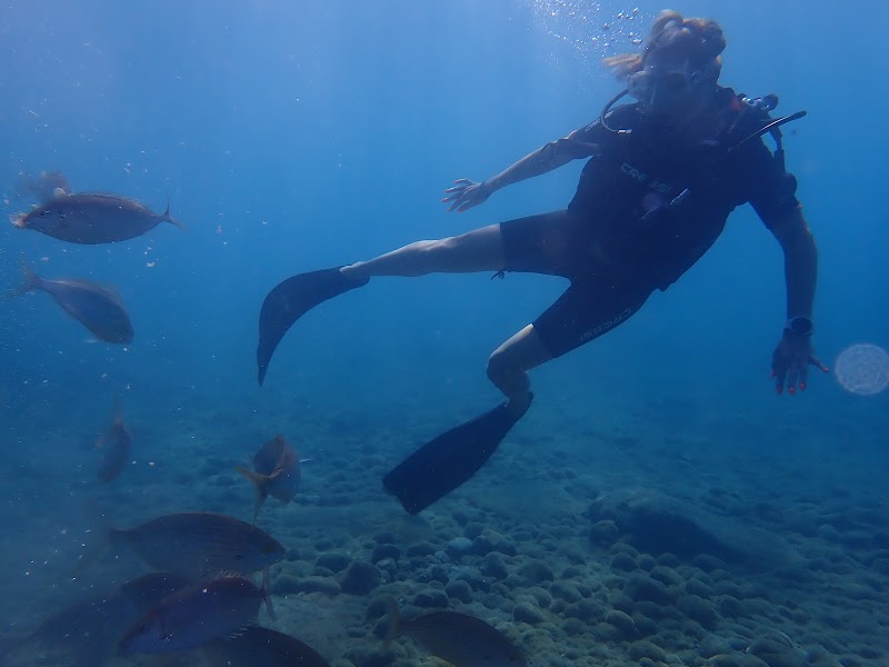 The Waterhoppers Kolymbia