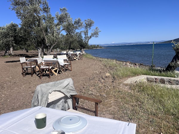 Trata Ayvalık