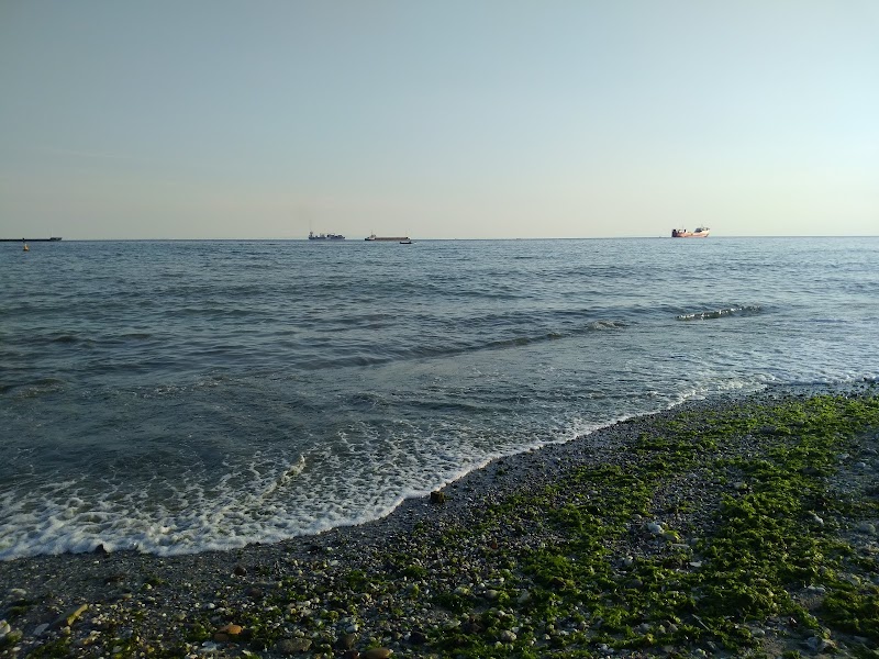 West İstanbul Marina Plaj marina