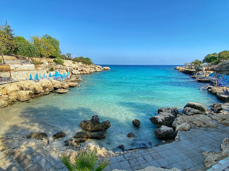 Mersin Yapraklı Koy Plajı, berrak denizi ve huzurlu atmosferiyle ziyaretçilerini ağırlıyor.