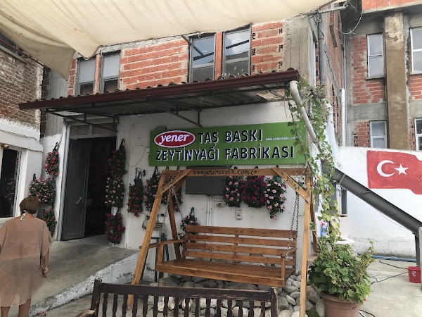 Yener Zeytin Taş Baskı Soğuk Sıkım Zeytinyağı Fabrikası ve Zeytin Üretimi